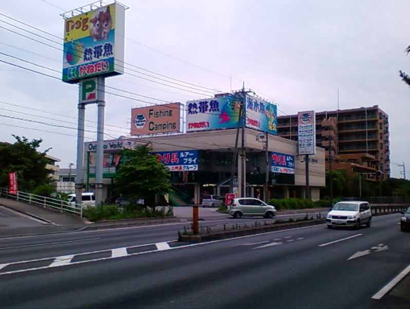 かねだい八千代店