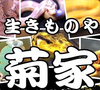 生きものや菊家