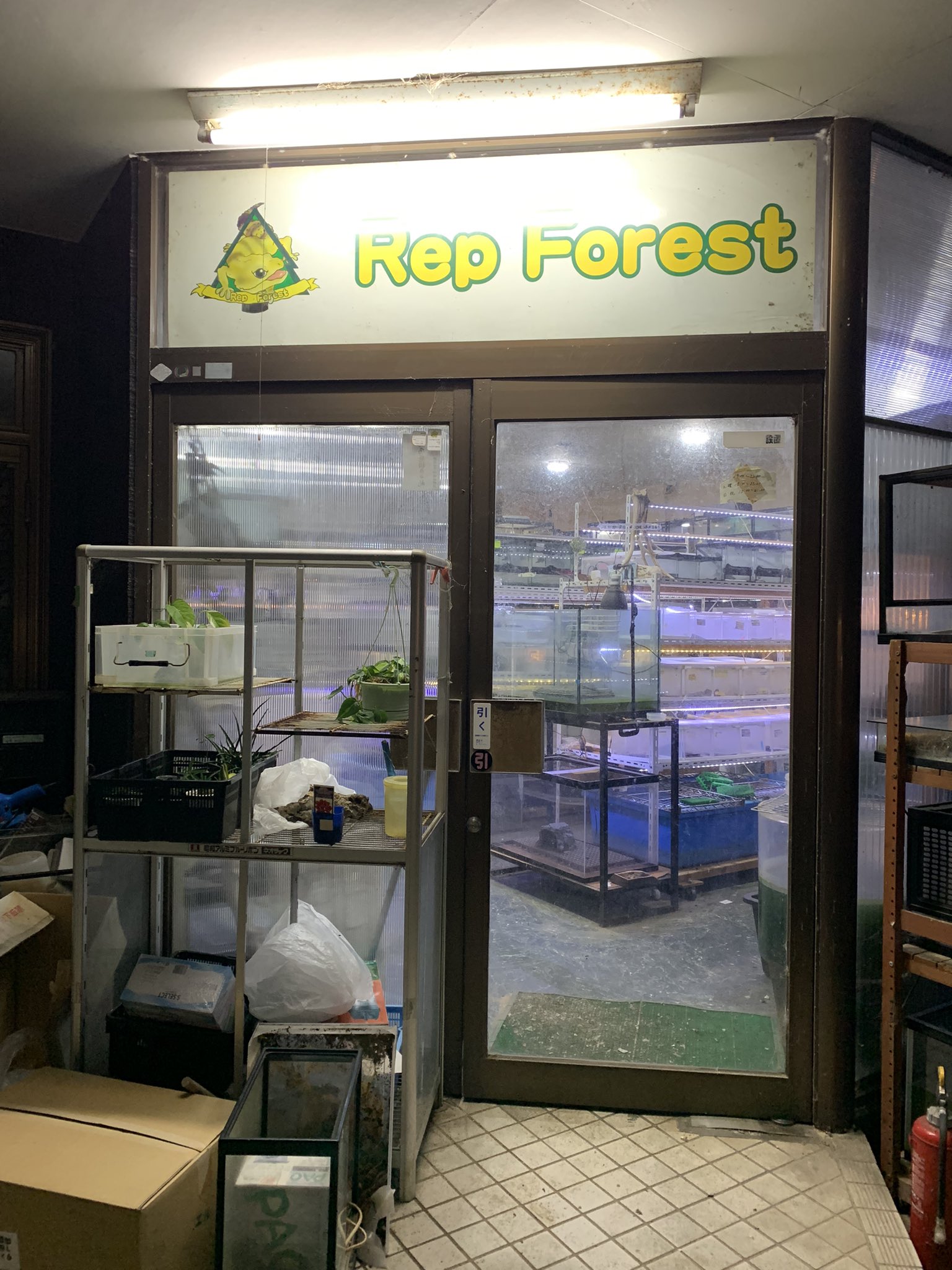 REP FOREST（レップフォレスト）