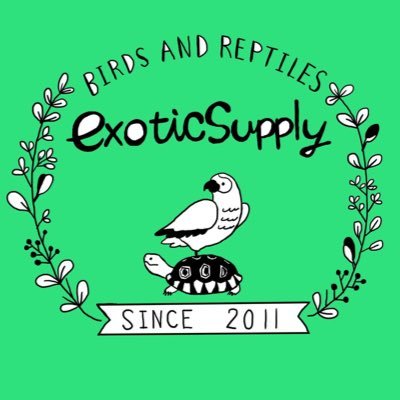 エキゾチックサプライ（exotic-supply）