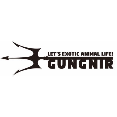 GUNGNIR-グングニル-