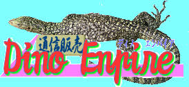 Dino Enpire