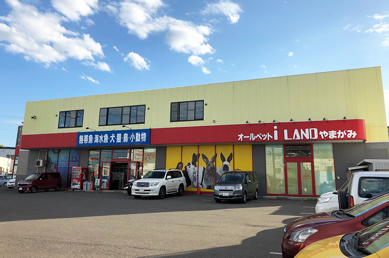 アイランドやまがみ北野店