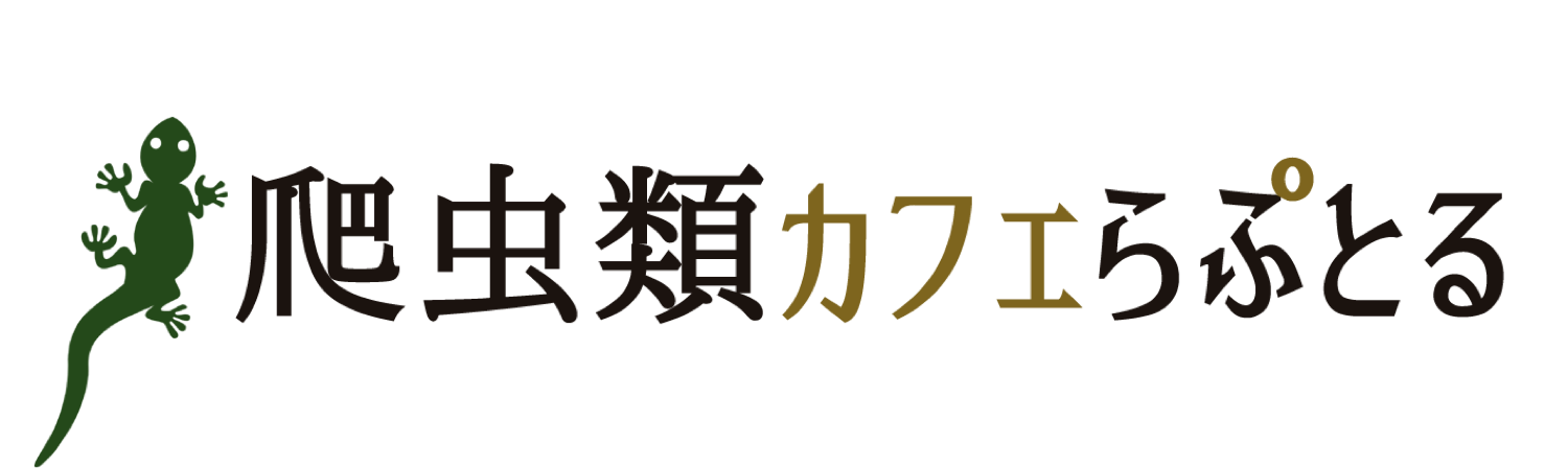 爬虫類カフェ らぷとる