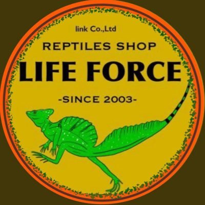 Life Force（ライフフォース）