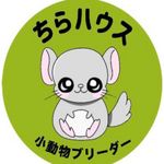 ちらハウス