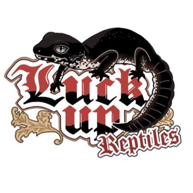 LUCK UP Reptiles