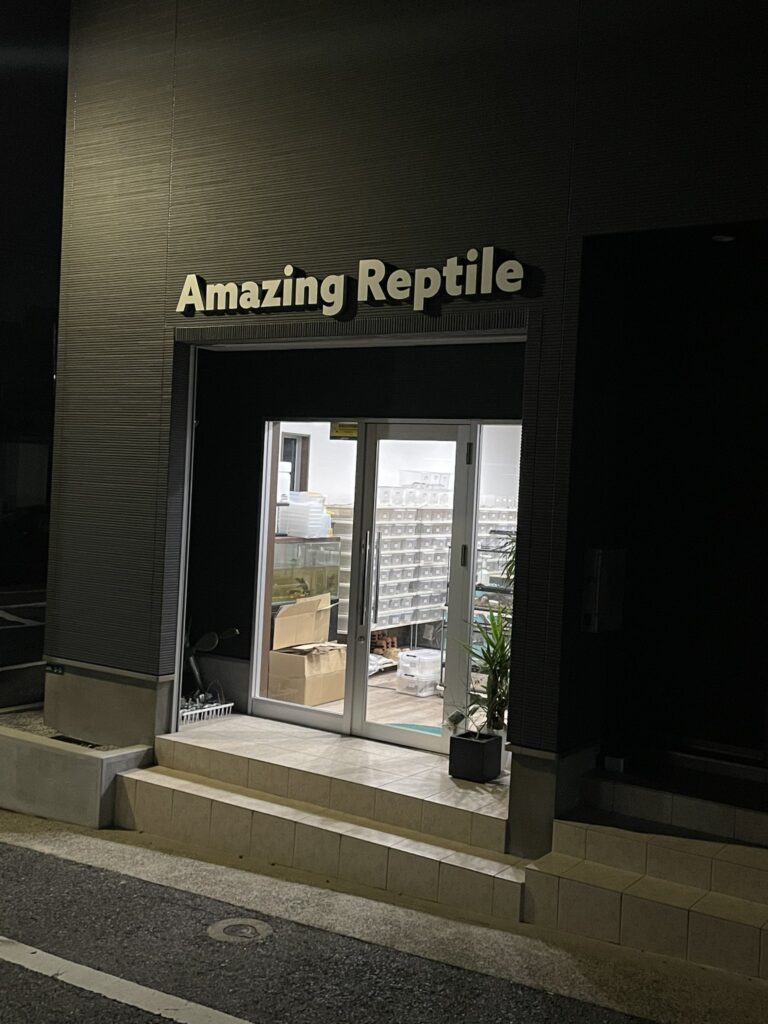 Amazing Reptile