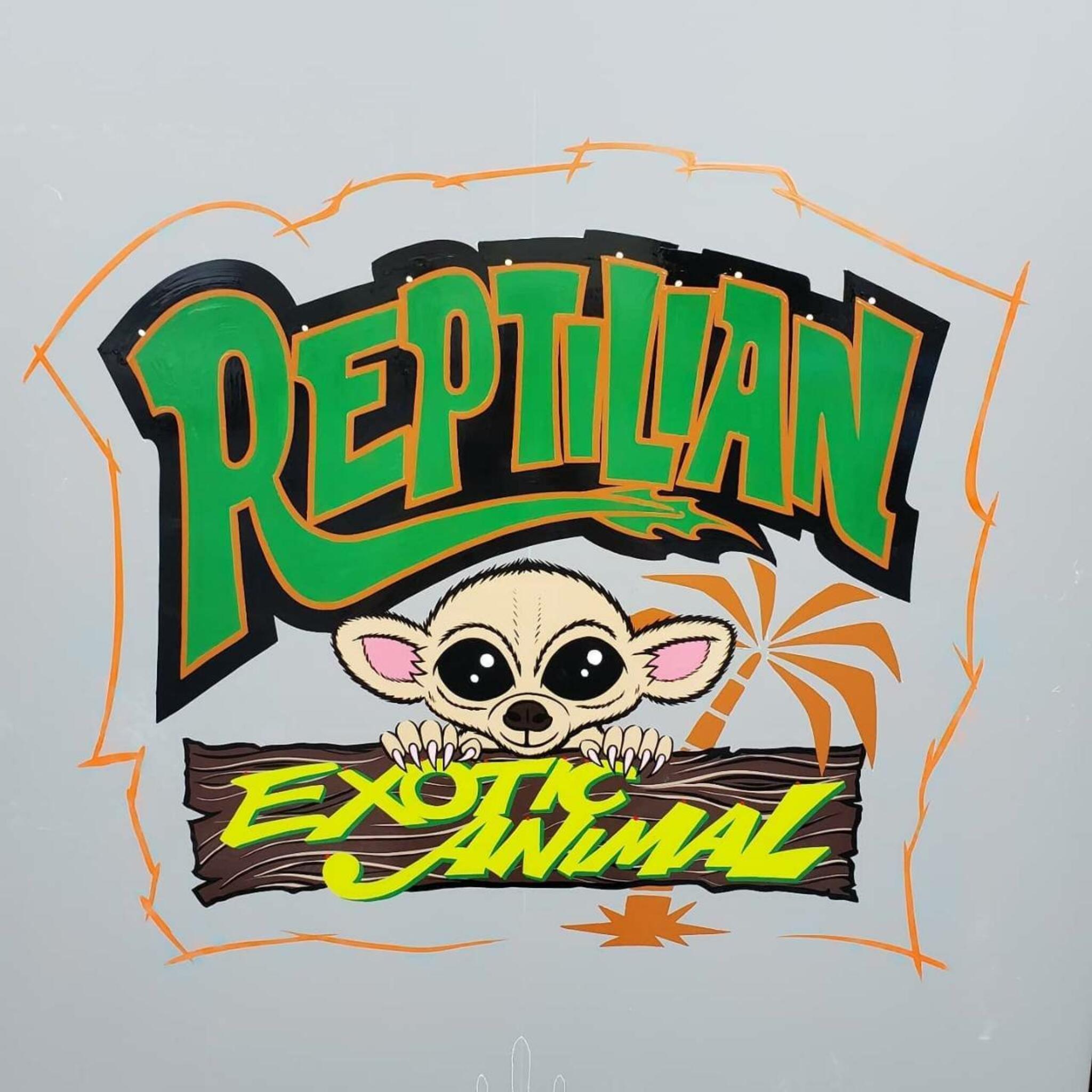 Exotic Animal Reptilian